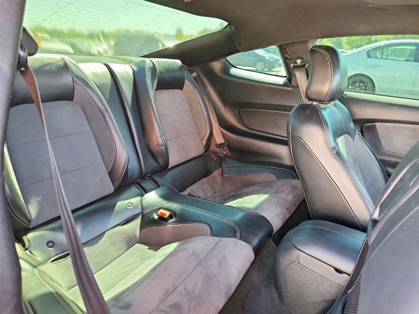 2019 FORD MUSTANG