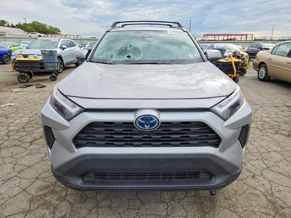 2024 TOYOTA RAV4 XLE — DIRF
