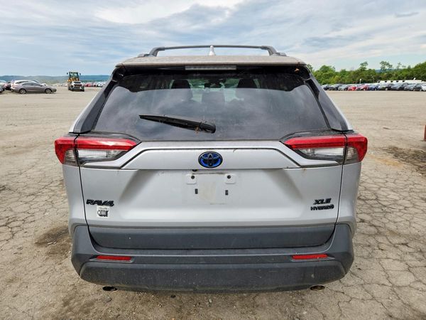 2024 TOYOTA RAV4 XLE — DIRR