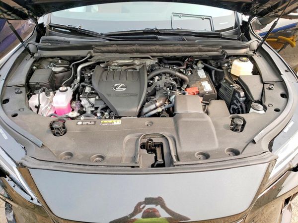 2025 LEXUS RX 350