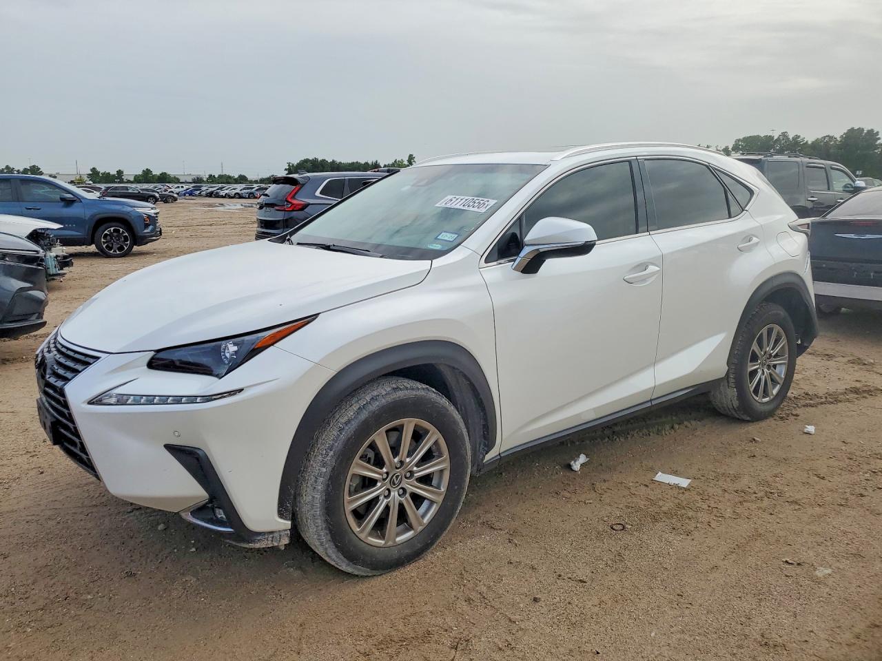 2019 LEXUS NX 300 300 Luxury