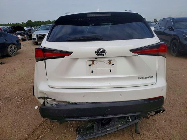 2019 LEXUS NX 300 300 Luxury