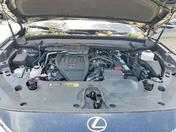 2025 LEXUS TX 350