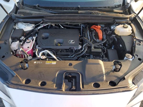 2025 LEXUS RX 450h+