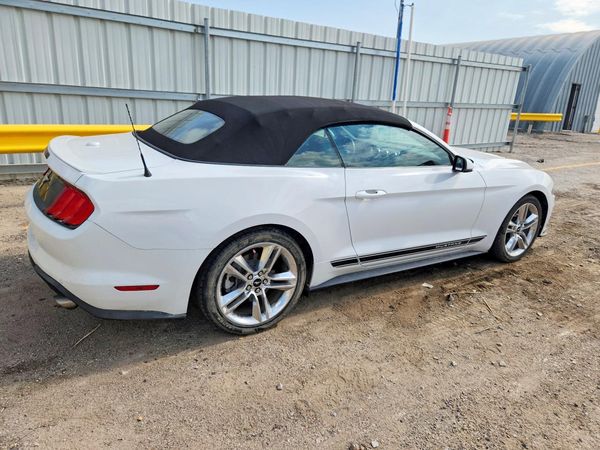 2019 FORD MUSTANG I4 Convertible