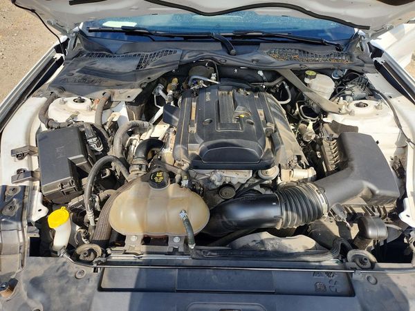 2019 FORD MUSTANG I4 Convertible