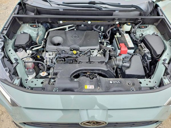 2019 TOYOTA RAV4 XLE / XLE Premium 4WD
