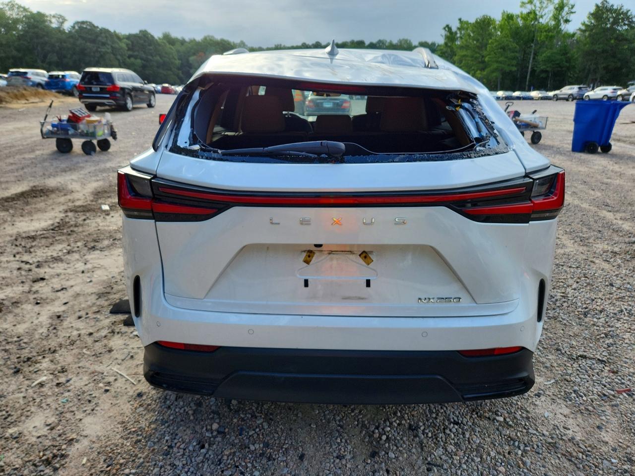 2022 LEXUS NX 350 Premium