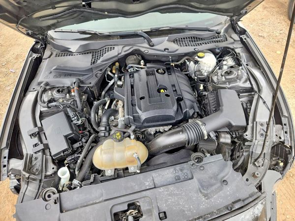 2019 FORD MUSTANG I4 Coupe