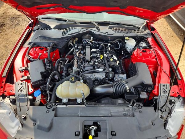 2021 FORD MUSTANG I4 Coupe
