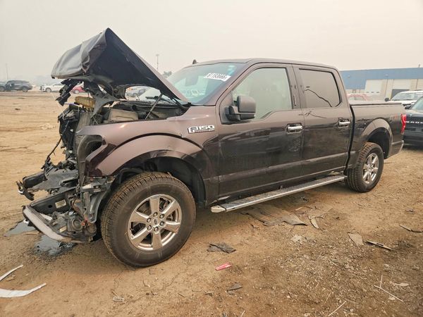 2019 FORD F150