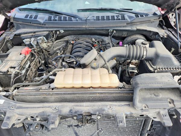 2019 FORD F150