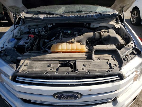2019 FORD F150