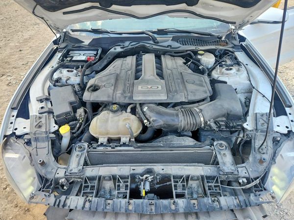 2019 FORD MUSTANG GT Coupe