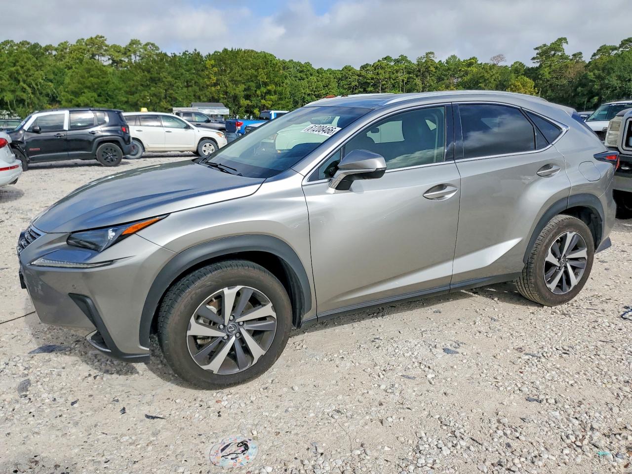 2019 LEXUS NX 300 300 Luxury — Front 3/4