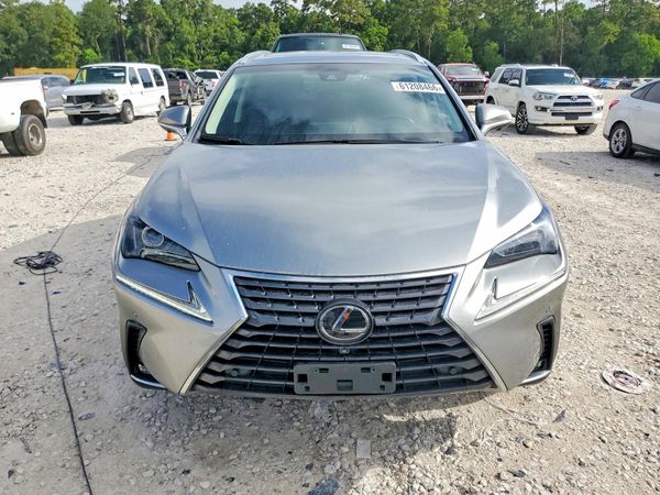 2019 LEXUS NX 300 300 Luxury — DIRF