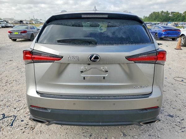 2019 LEXUS NX 300 300 Luxury — DIRR