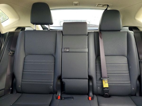 2019 LEXUS NX 300 300 Luxury — SUVN