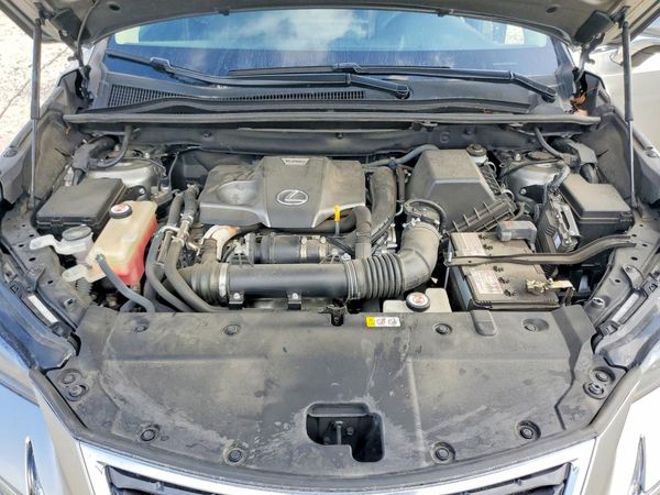 2019 LEXUS NX 300 300 Luxury — Engine bay
