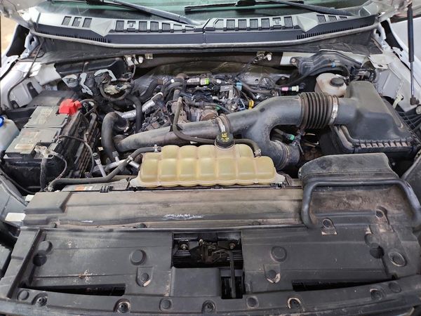 2020 FORD F150