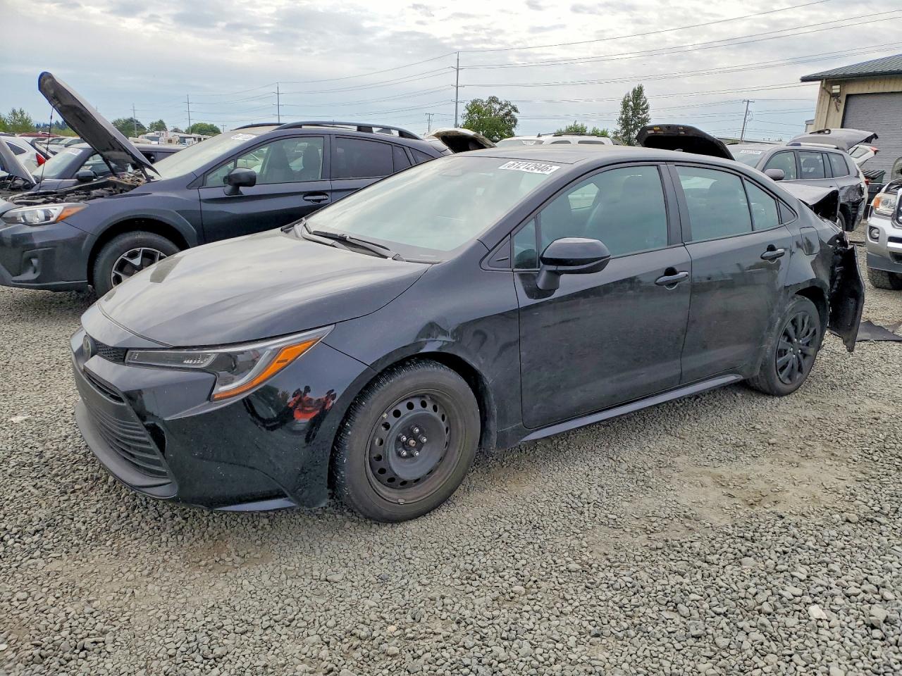 2024 TOYOTA COROLLA