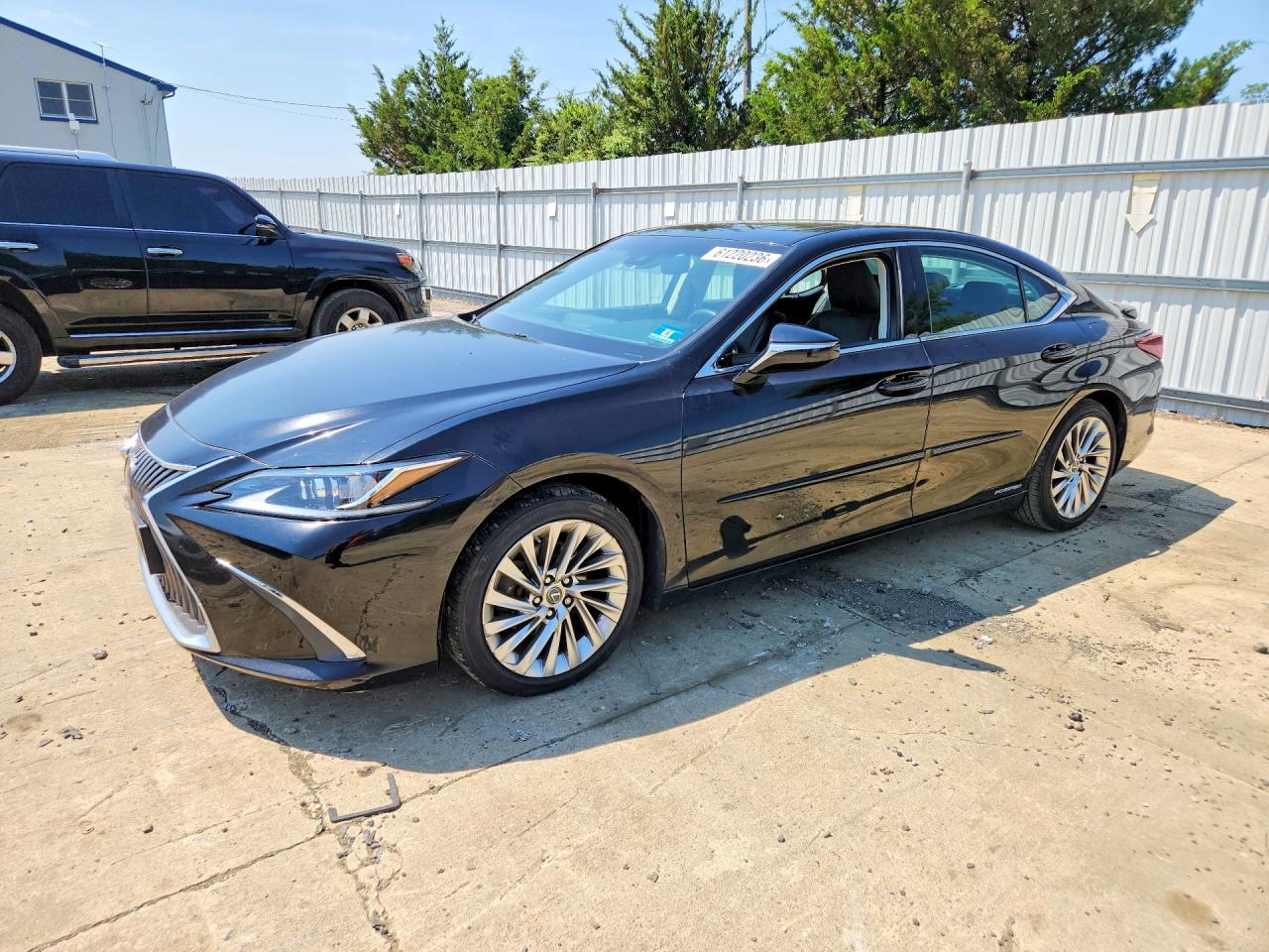 2020 LEXUS ES 300h Luxury