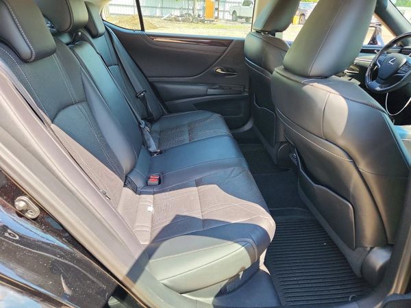 2020 LEXUS ES 300h Luxury