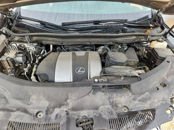 2020 LEXUS RX 350 Premium