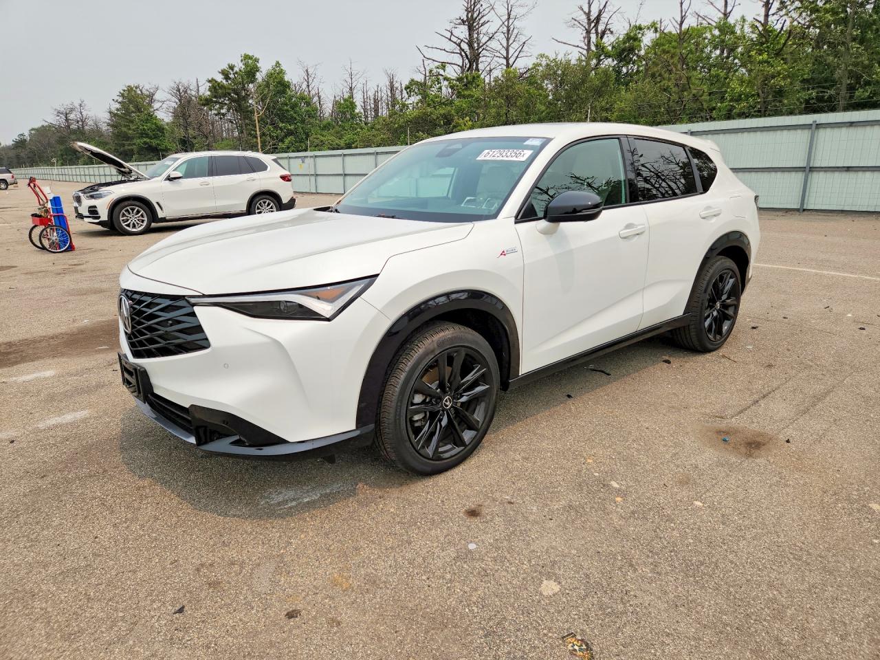2025 ACURA ADX ADX AWD A-Spec Advance