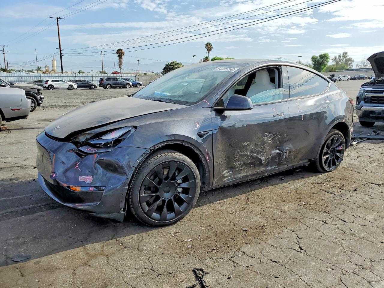 2024 TESLA MODEL Y