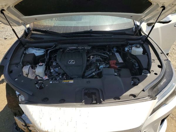 2025 LEXUS RX 350