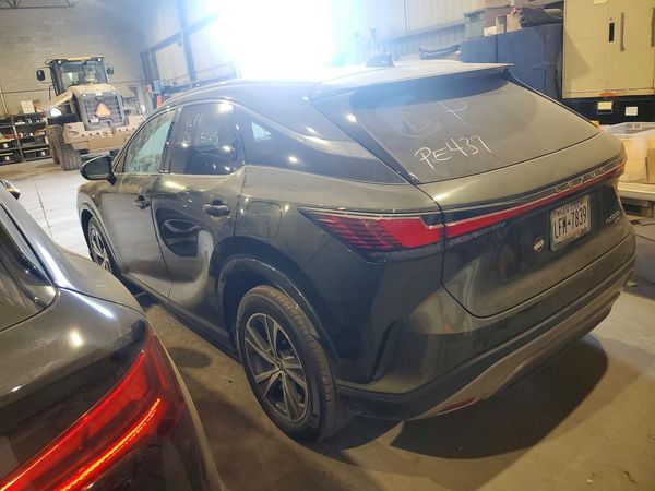 2024 LEXUS RX