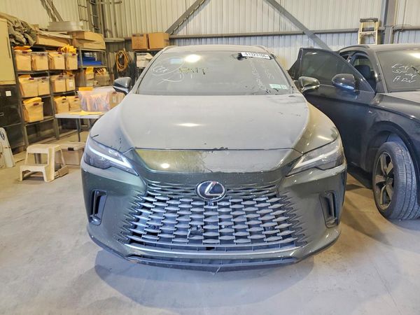 2024 LEXUS RX