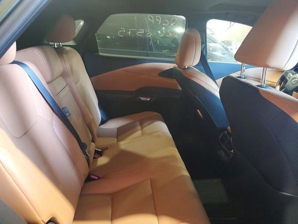 2024 LEXUS RX
