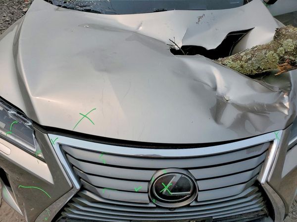 2019 LEXUS RX 350