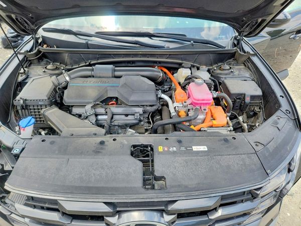 2025 HYUNDAI TUCSON Blue
