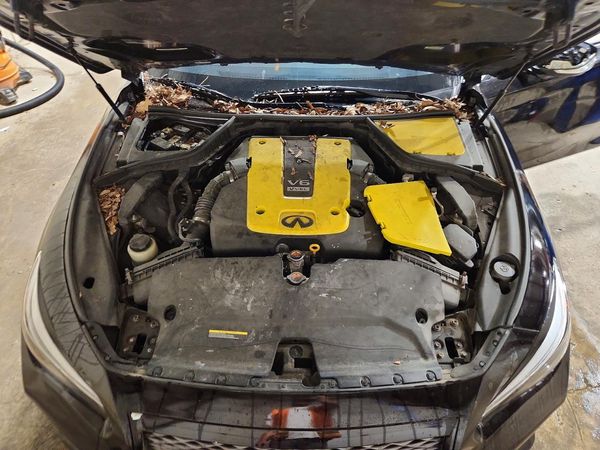 2015 INFINITI Q50