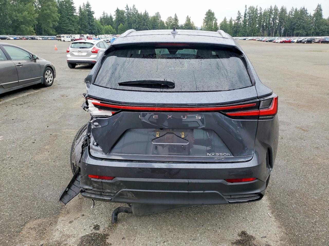 2024 LEXUS NX 350H 350h Luxury