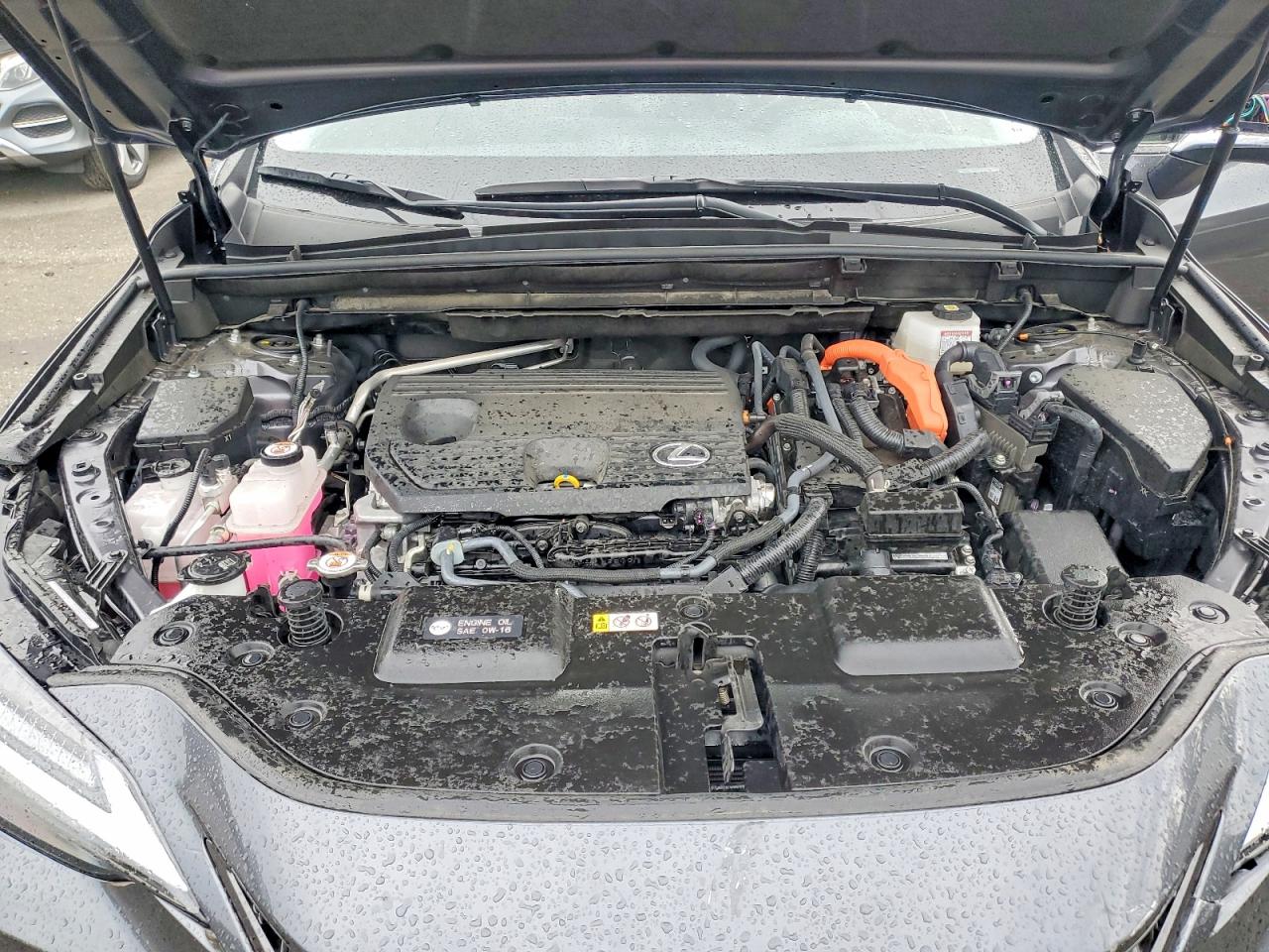 2024 LEXUS NX 350H 350h Luxury