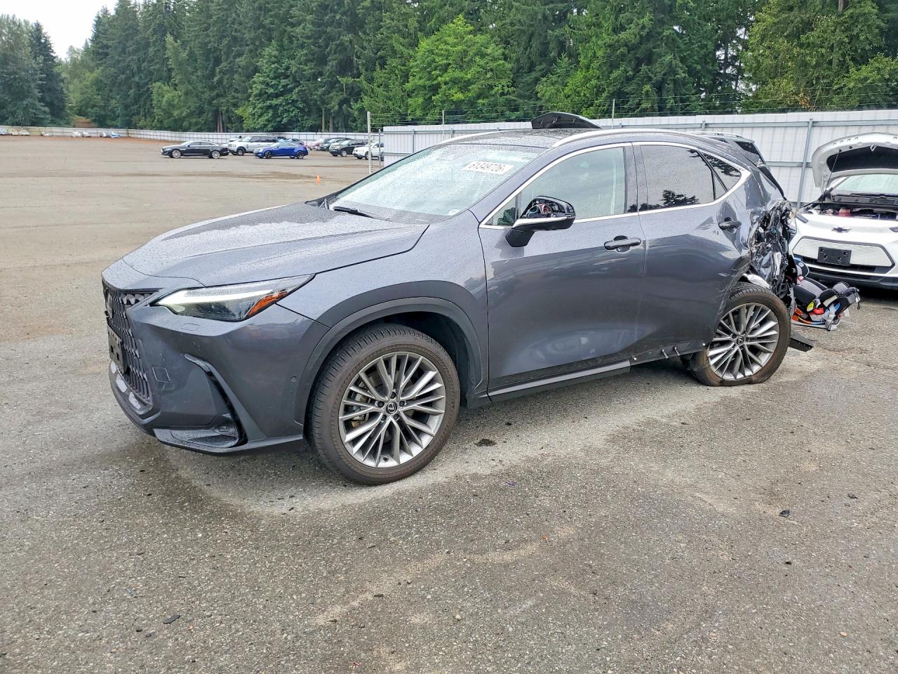 2024 LEXUS NX 350H 350h Luxury