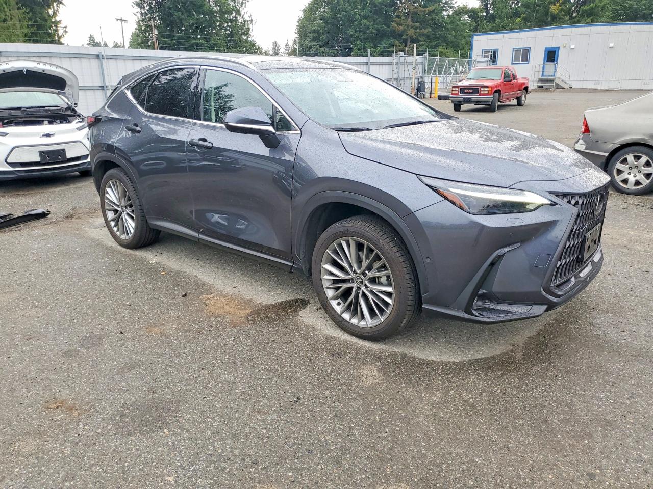 2024 LEXUS NX 350H 350h Luxury