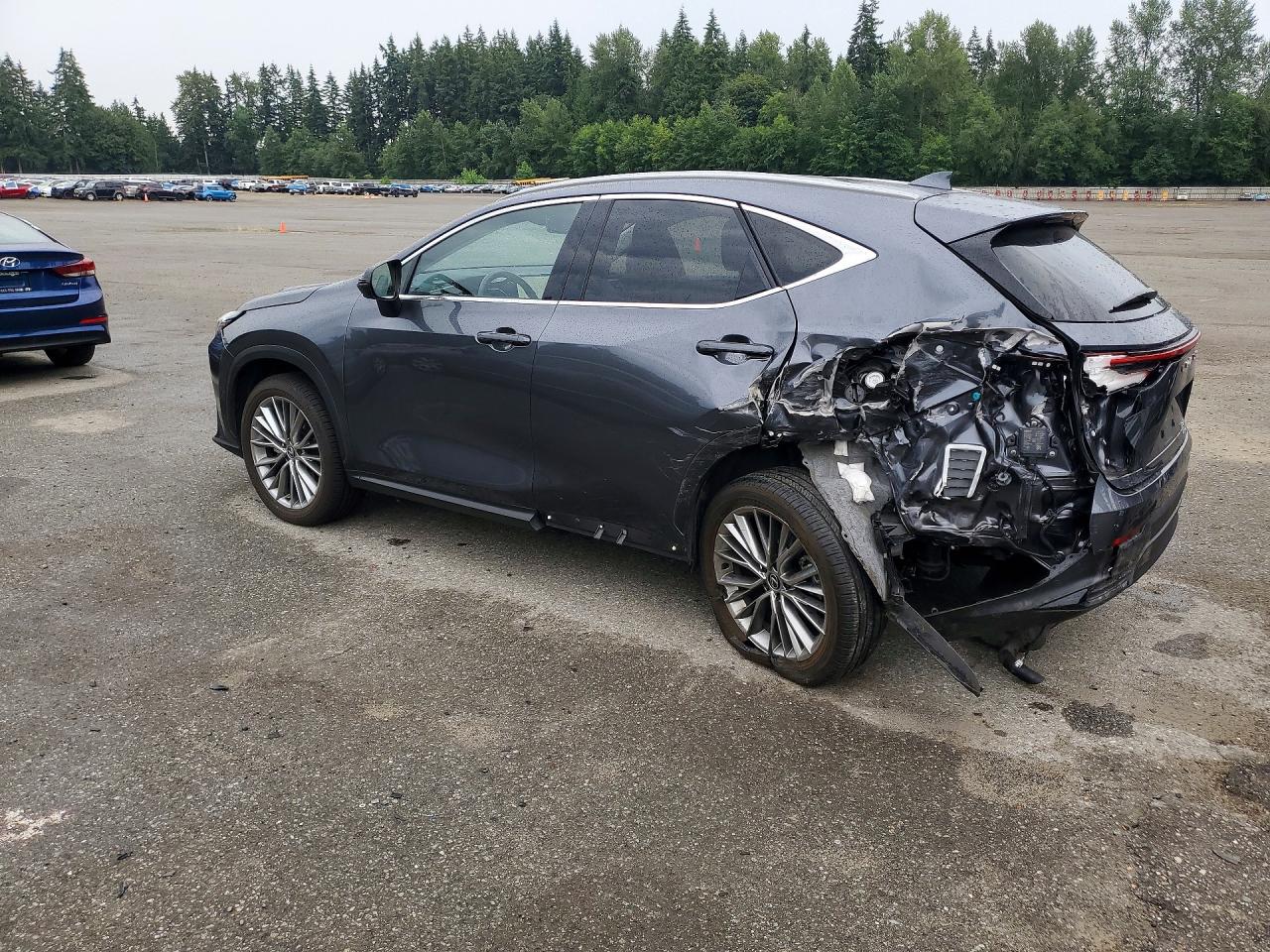 2024 LEXUS NX 350H 350h Luxury