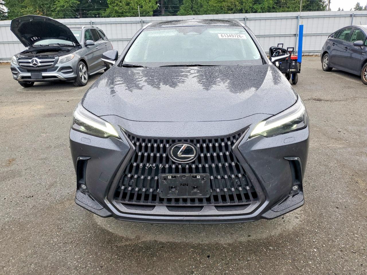 2024 LEXUS NX 350H 350h Luxury
