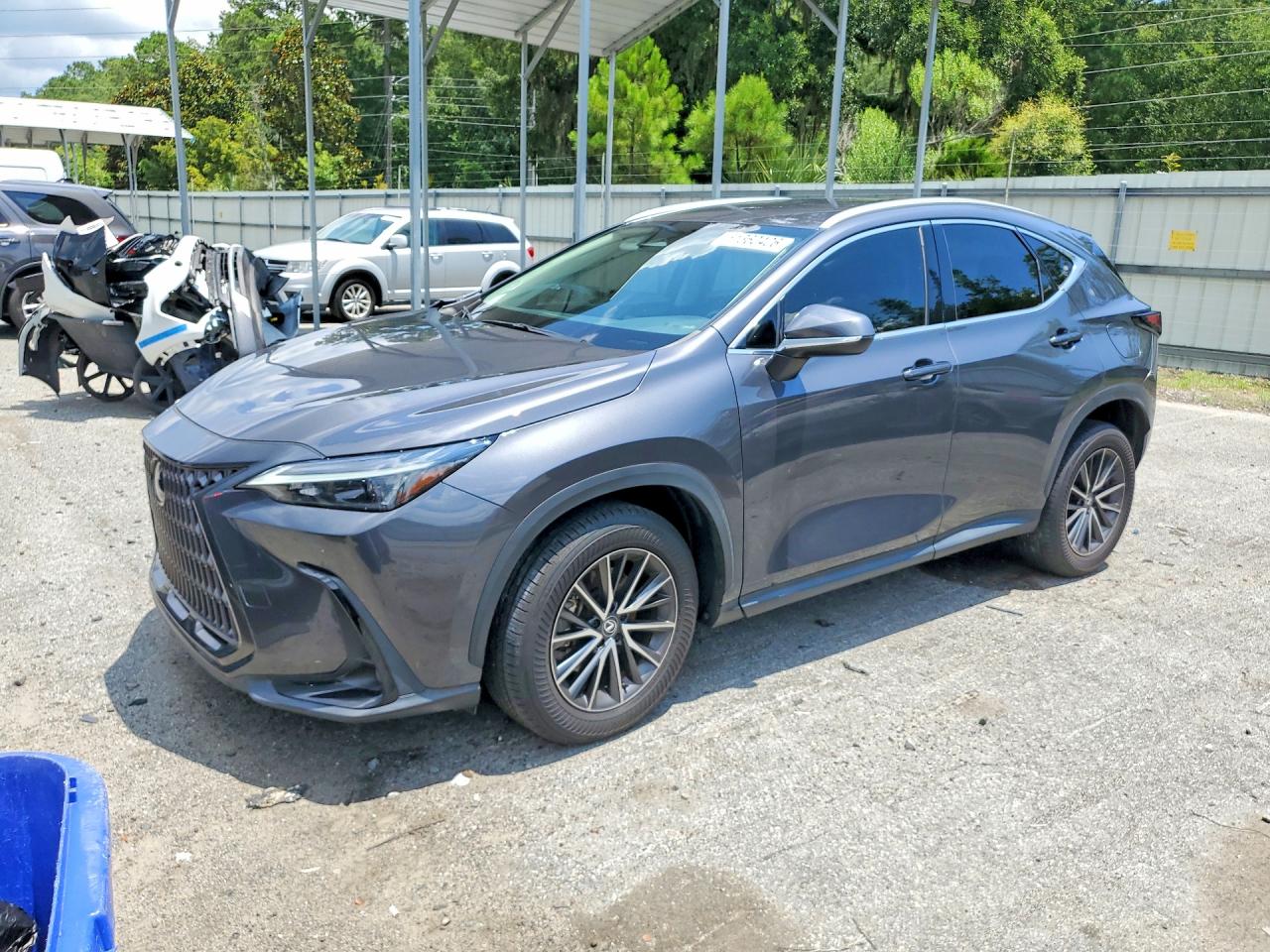 2024 LEXUS NX 250 350 Base