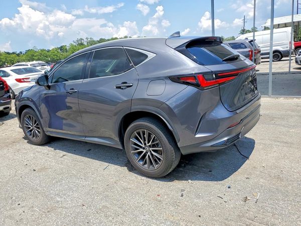 2024 LEXUS NX 250 350 Base