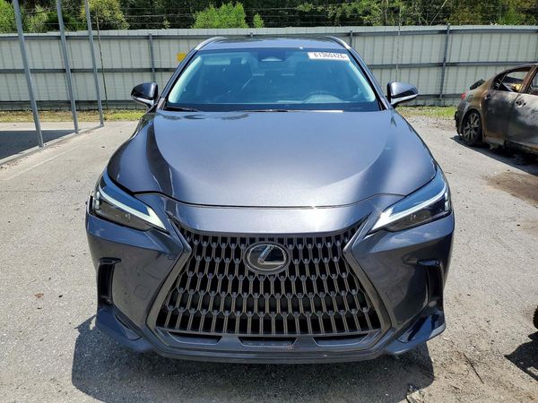 2024 LEXUS NX 250 350 Base