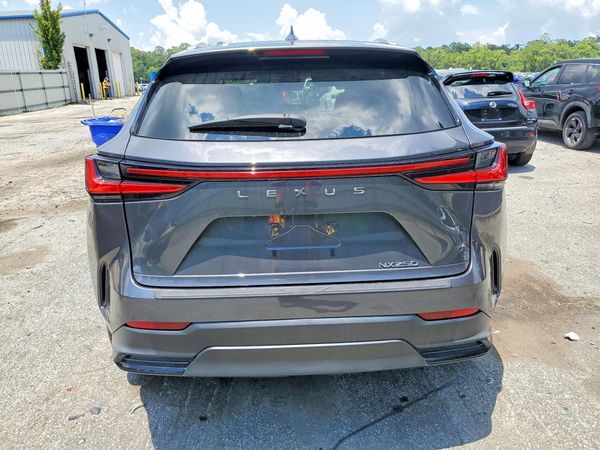 2024 LEXUS NX 250 350 Base
