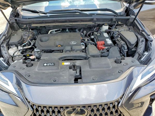 2024 LEXUS NX 250 350 Base