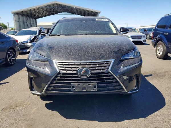 2020 LEXUS NX 300 Comfort