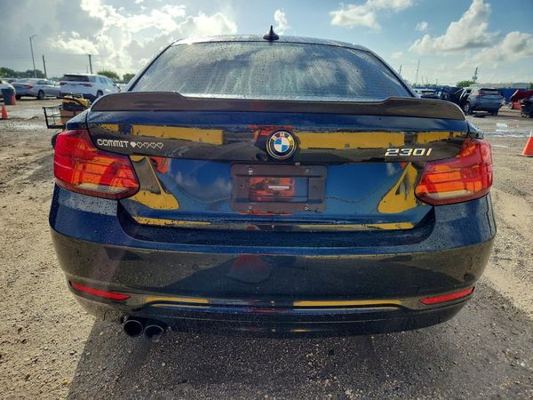2019 BMW 230I